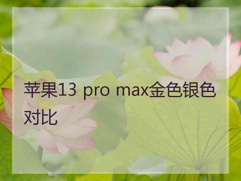 苹果13 pro max金色银色对比