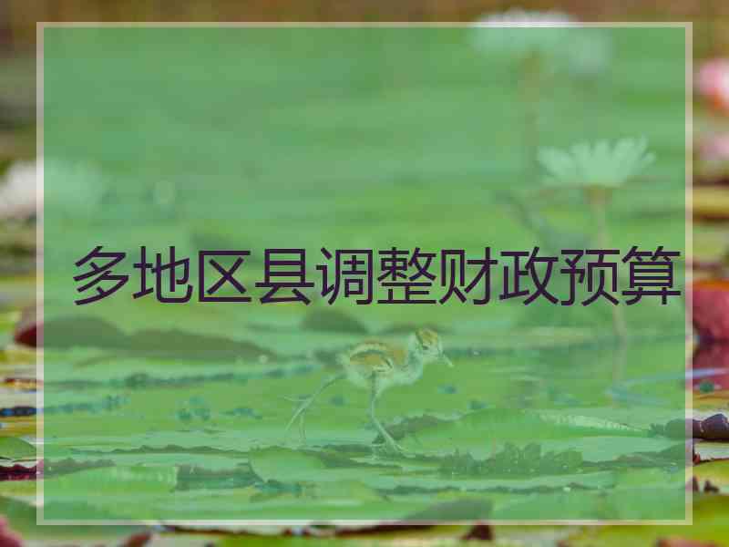 多地区县调整财政预算