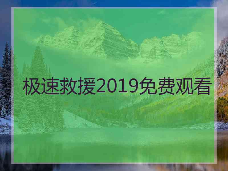 极速救援2019免费观看