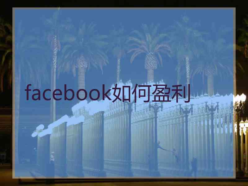 facebook如何盈利