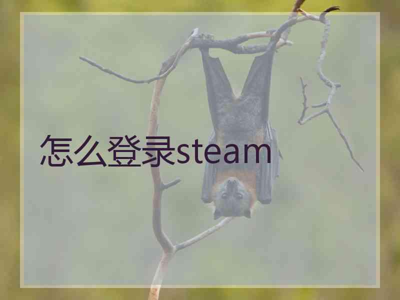 怎么登录steam