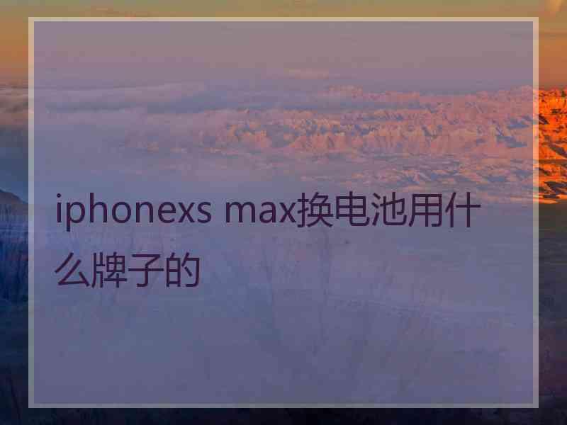 iphonexs max换电池用什么牌子的