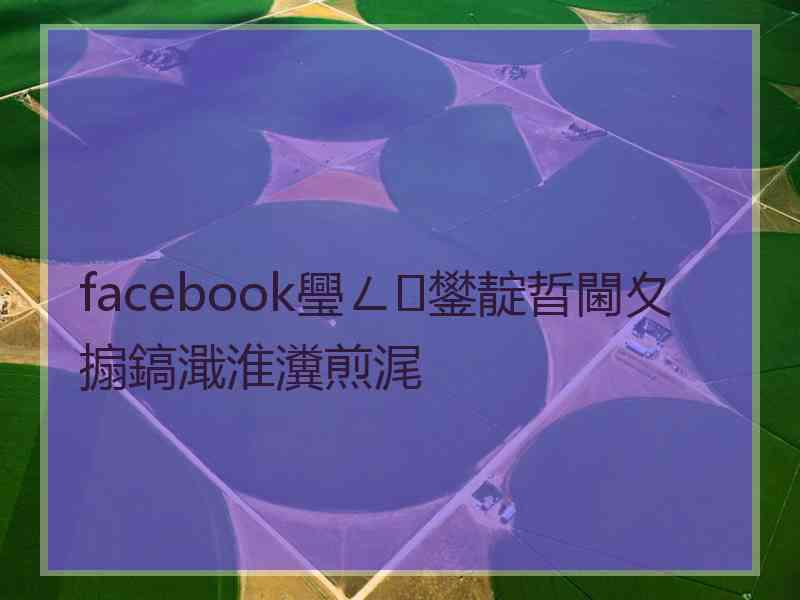 facebook璺ㄥ鐢靛晢閫夊搧鎬濈淮瀵煎浘