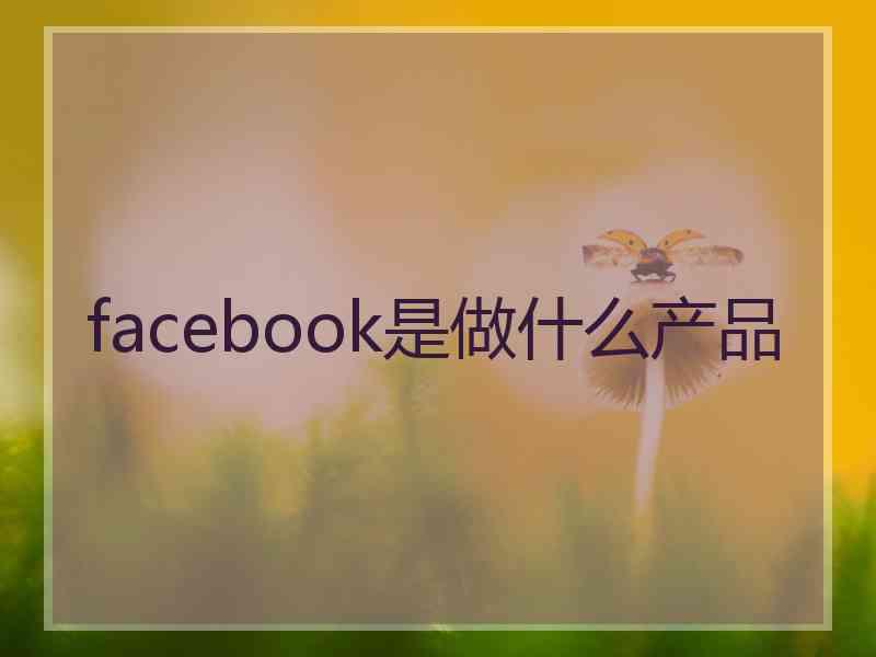 facebook是做什么产品