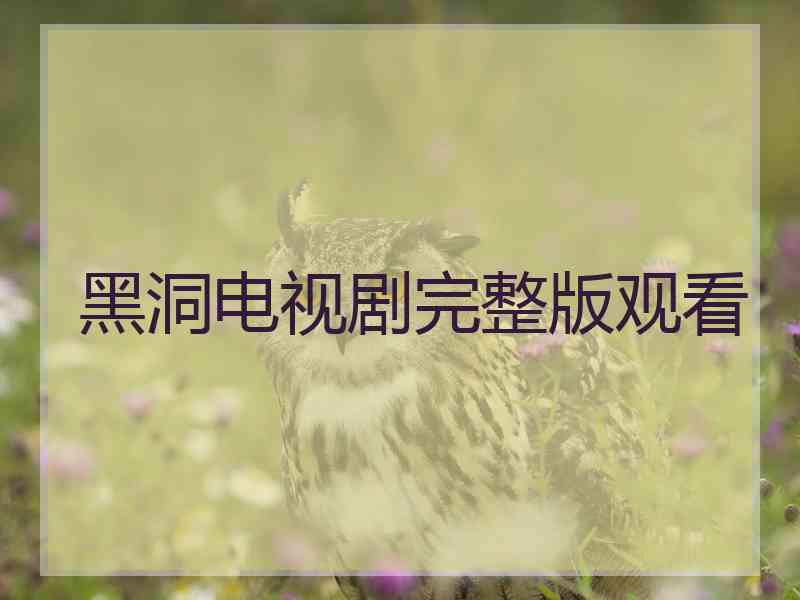 黑洞电视剧完整版观看