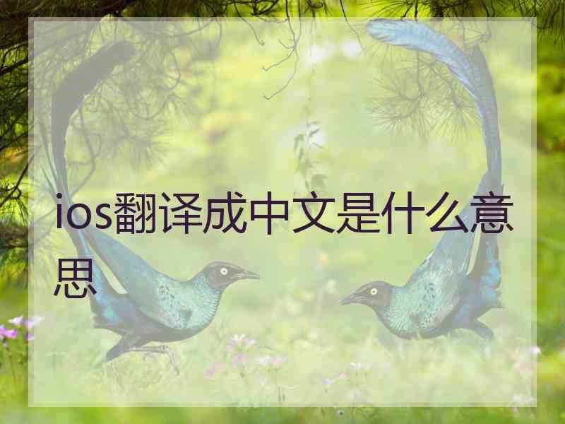 ios翻译成中文是什么意思