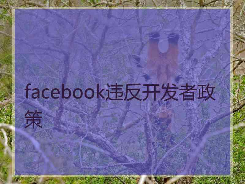 facebook违反开发者政策