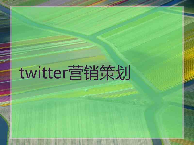 twitter营销策划