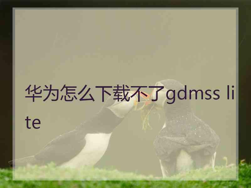 华为怎么下载不了gdmss lite