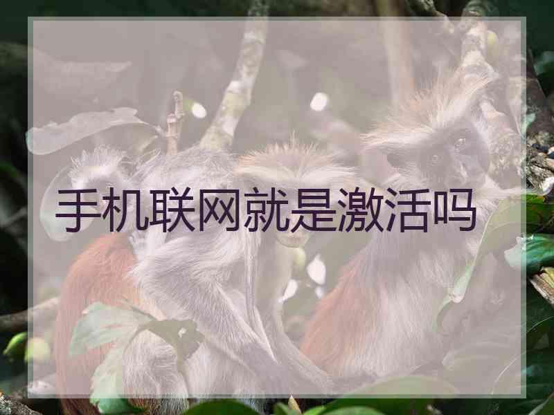 手机联网就是激活吗