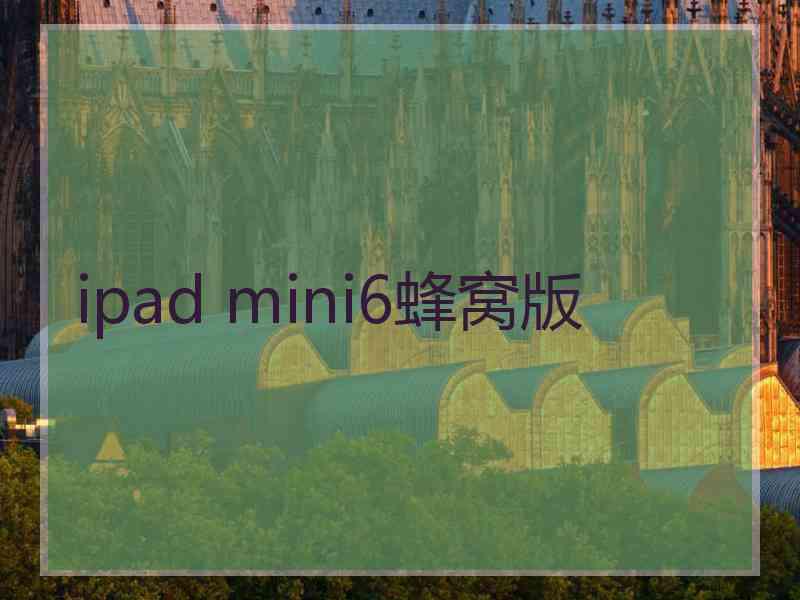 ipad mini6蜂窝版