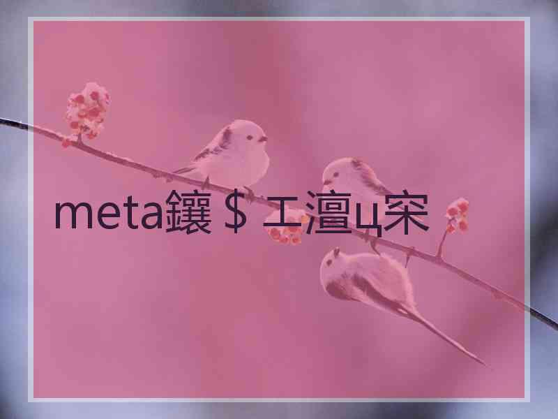 meta鑲＄エ澶ц穼