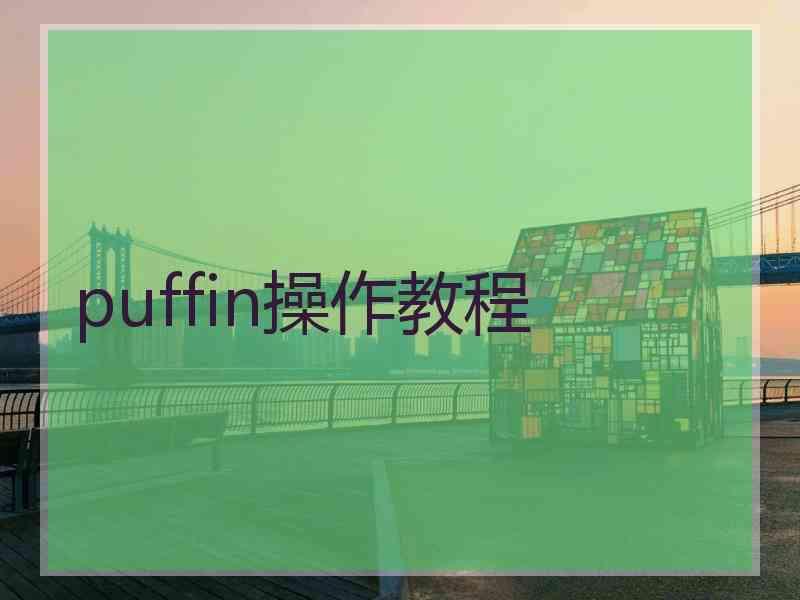 puffin操作教程