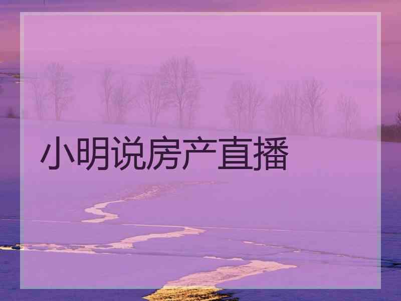 小明说房产直播