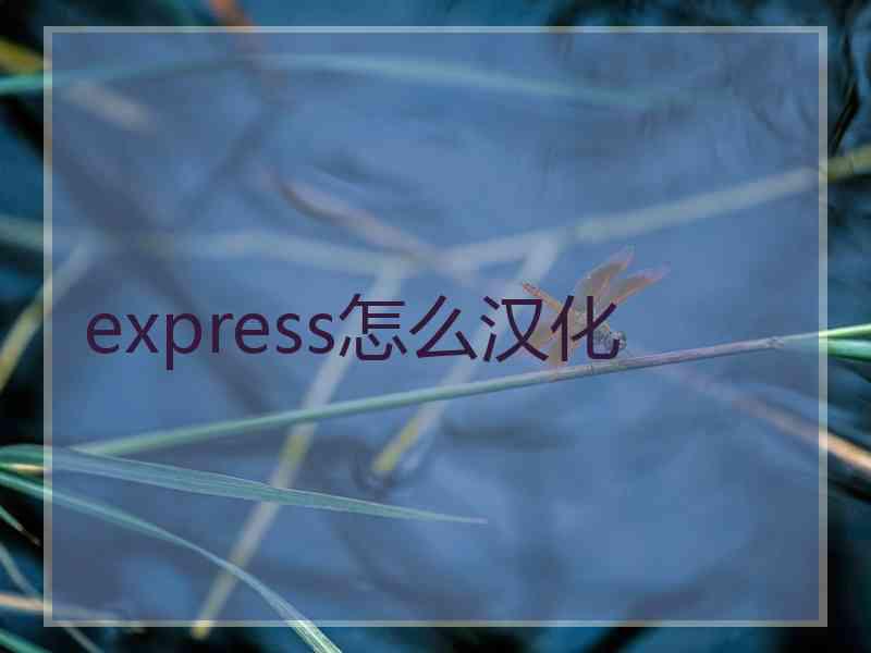 express怎么汉化