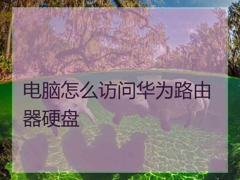 电脑怎么访问华为路由器硬盘