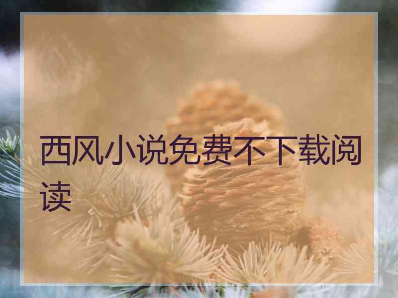 西风小说免费不下载阅读