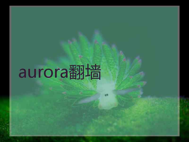 aurora翻墙