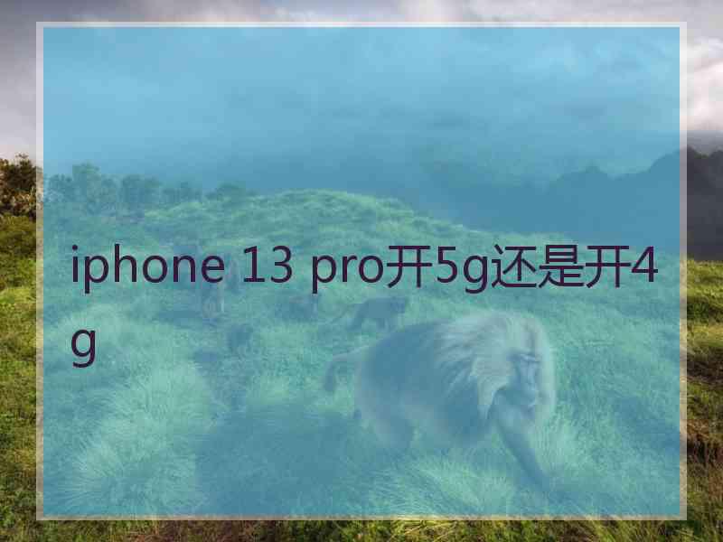 iphone 13 pro开5g还是开4g