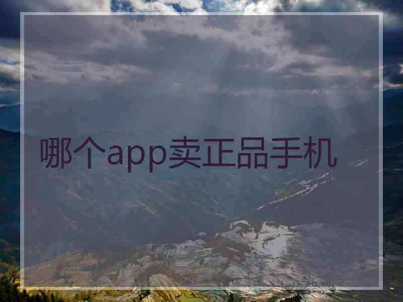 哪个app卖正品手机