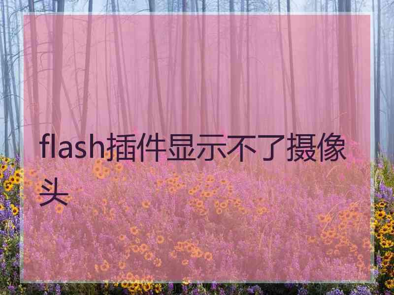 flash插件显示不了摄像头