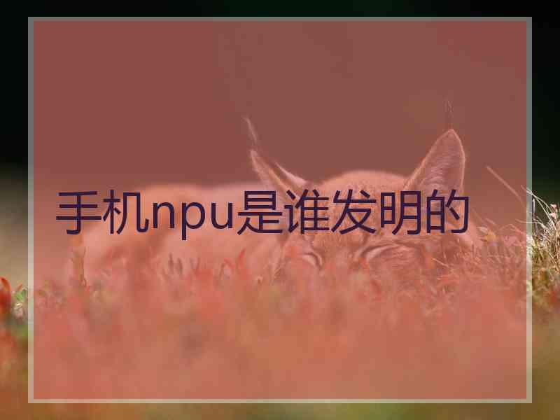 手机npu是谁发明的