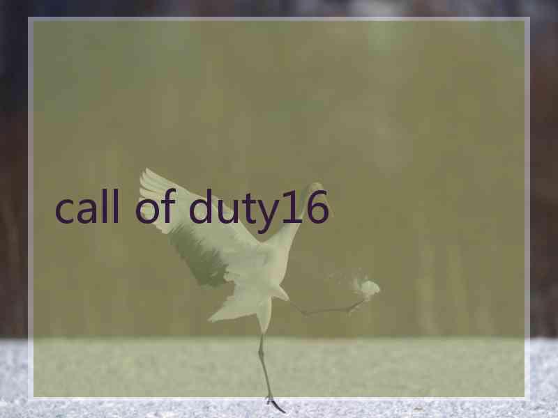 call of duty16