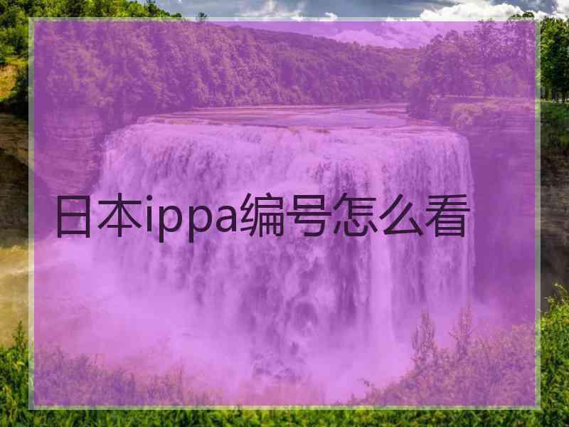 日本ippa编号怎么看