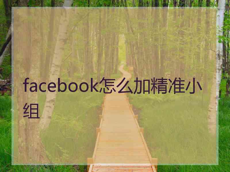 facebook怎么加精准小组