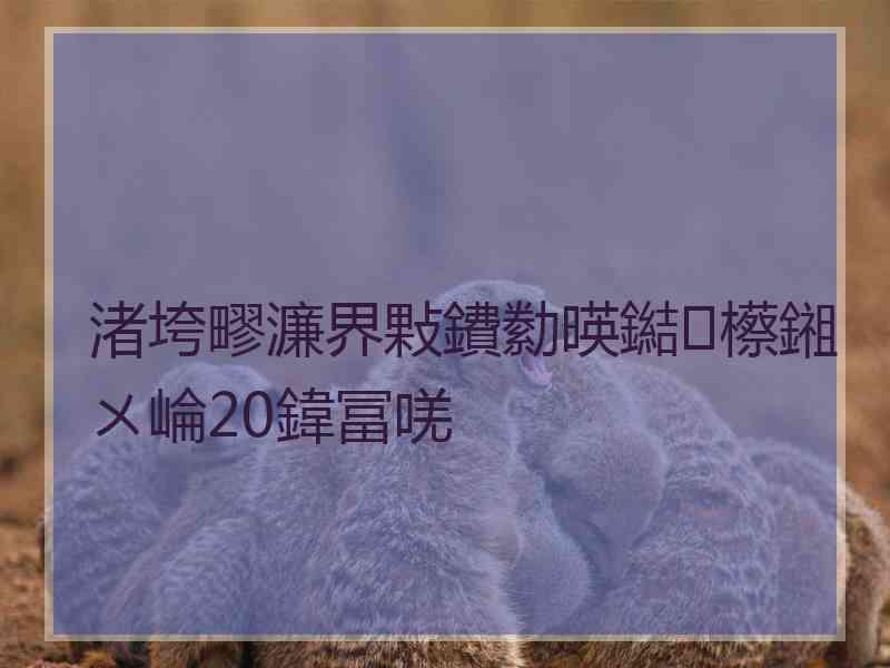 渚垮疁濂界敤鐨勬暎鐑櫒鎺ㄨ崘20鍏冨唴