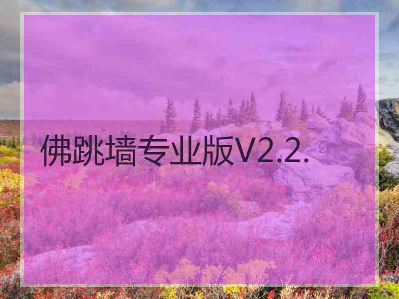 佛跳墙专业版V2.2.