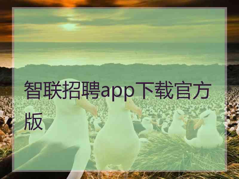 智联招聘app下载官方版