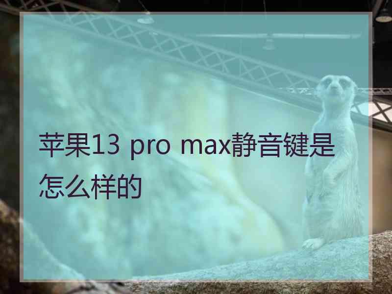 苹果13 pro max静音键是怎么样的