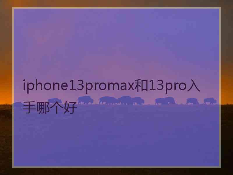 iphone13promax和13pro入手哪个好