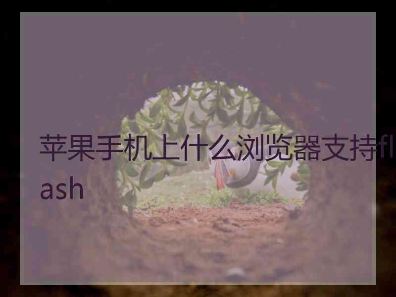 苹果手机上什么浏览器支持flash