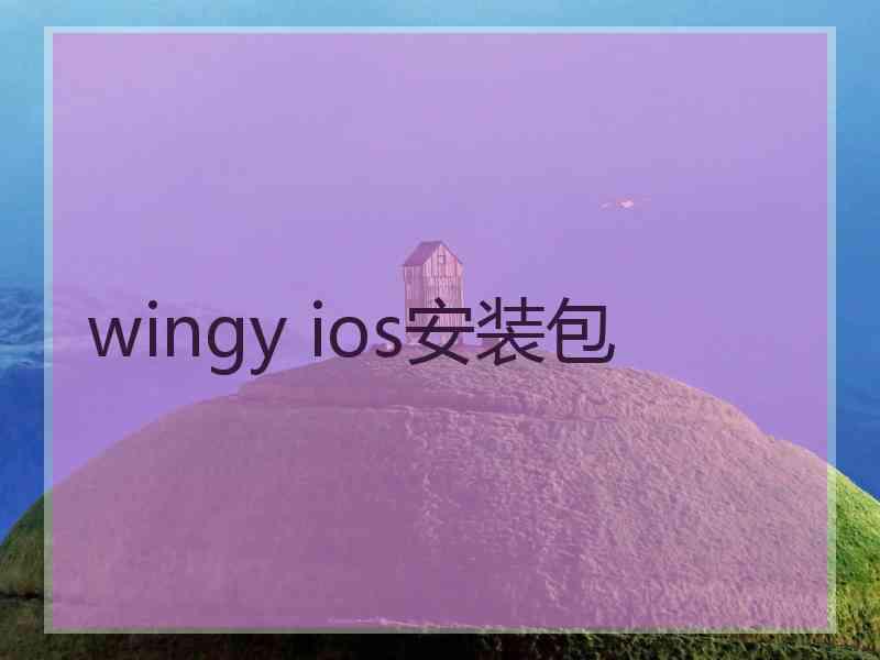 wingy ios安装包