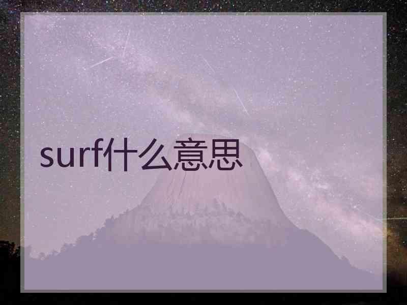 surf什么意思