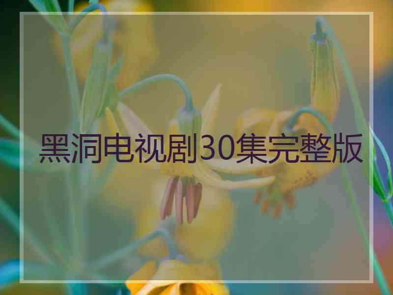 黑洞电视剧30集完整版