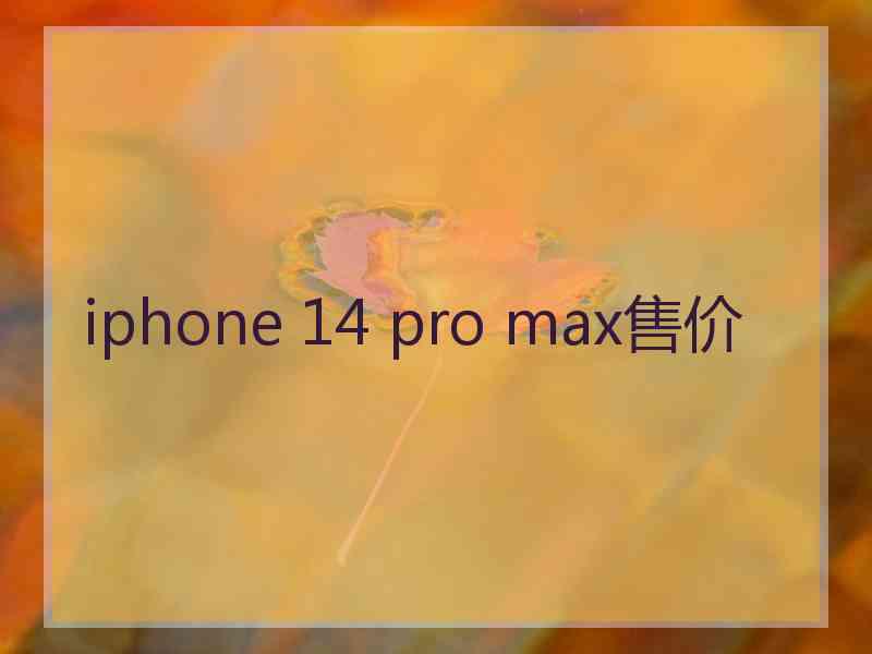 iphone 14 pro max售价