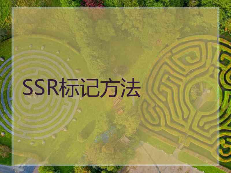 SSR标记方法