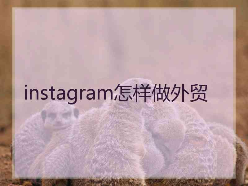 instagram怎样做外贸