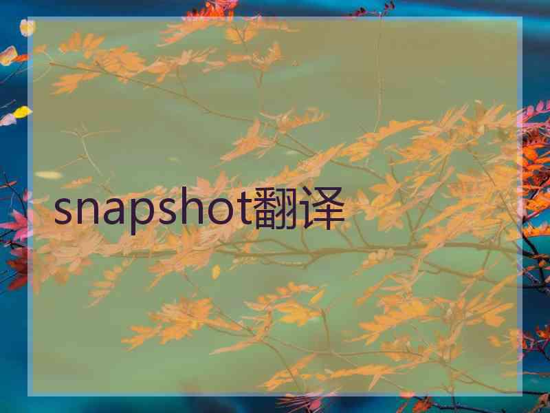 snapshot翻译