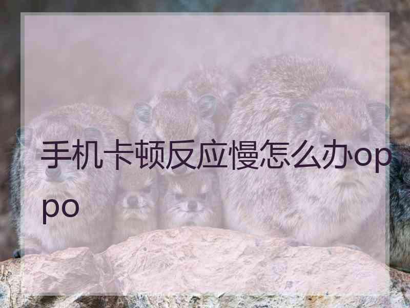 手机卡顿反应慢怎么办oppo