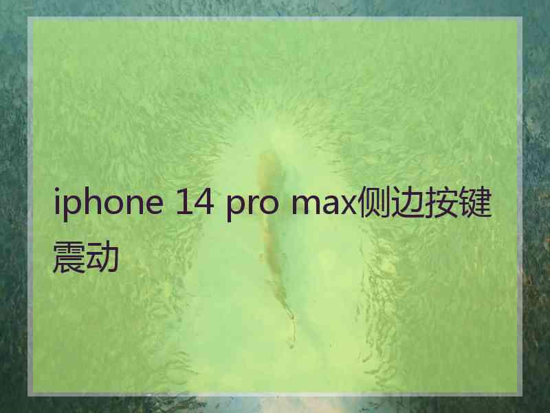 iphone 14 pro max侧边按键震动