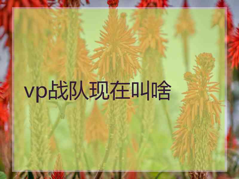 vp战队现在叫啥