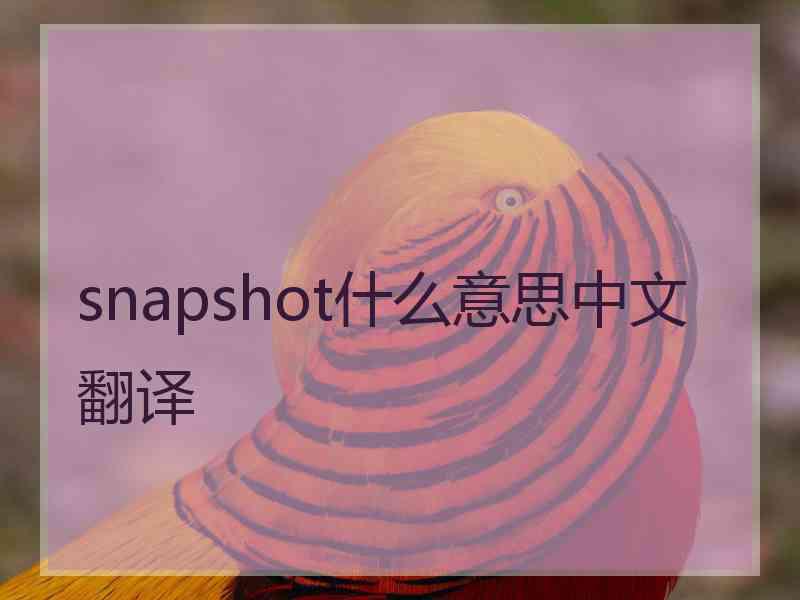 snapshot什么意思中文翻译