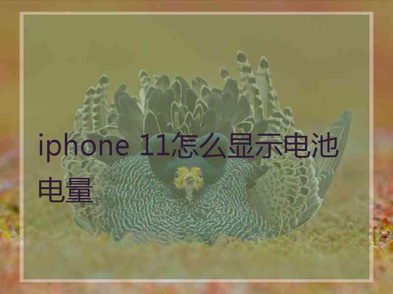 iphone 11怎么显示电池电量