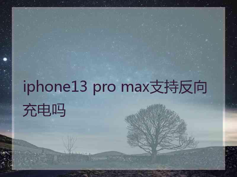 iphone13 pro max支持反向充电吗