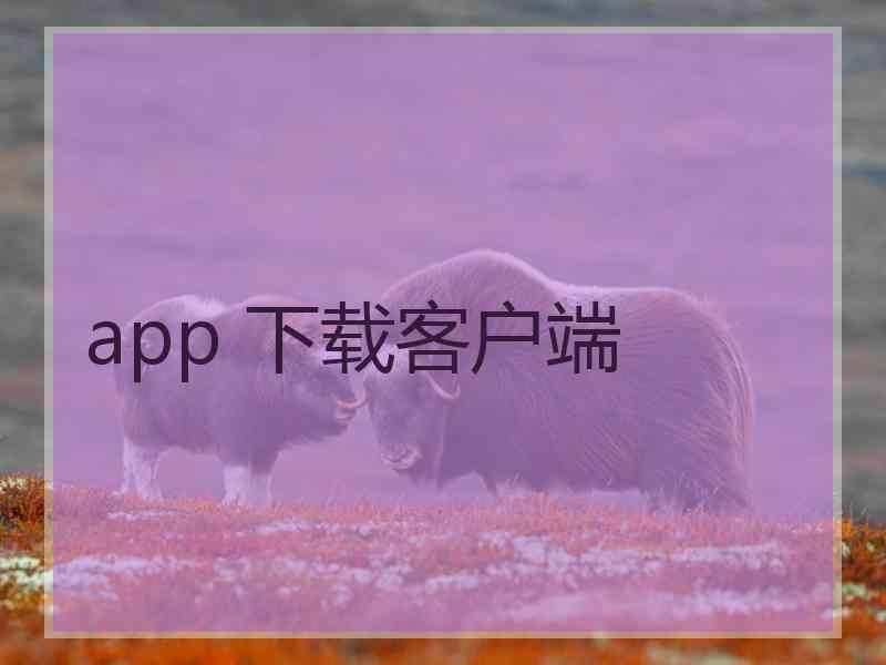 app 下载客户端