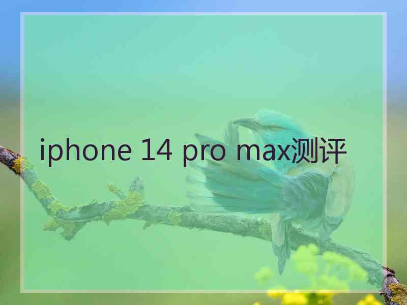 iphone 14 pro max测评